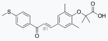 Elafibranor