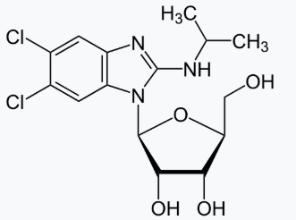 Maribavir