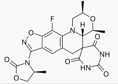 Zoliflodacin